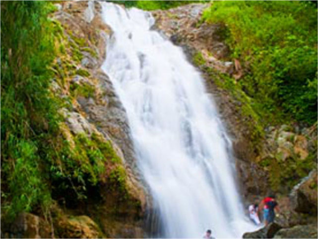 kaligono2